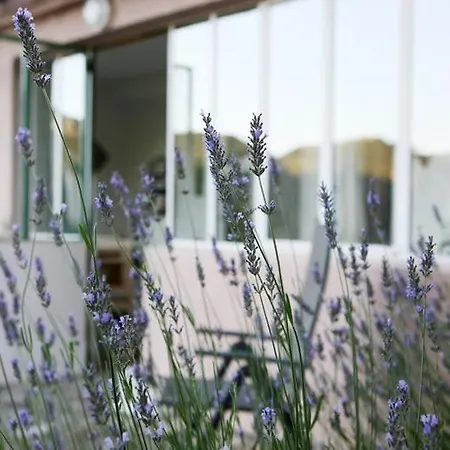 Bed & Breakfast Les Falaises